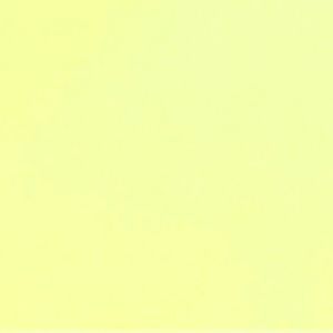 Meet your Posher, Tyana